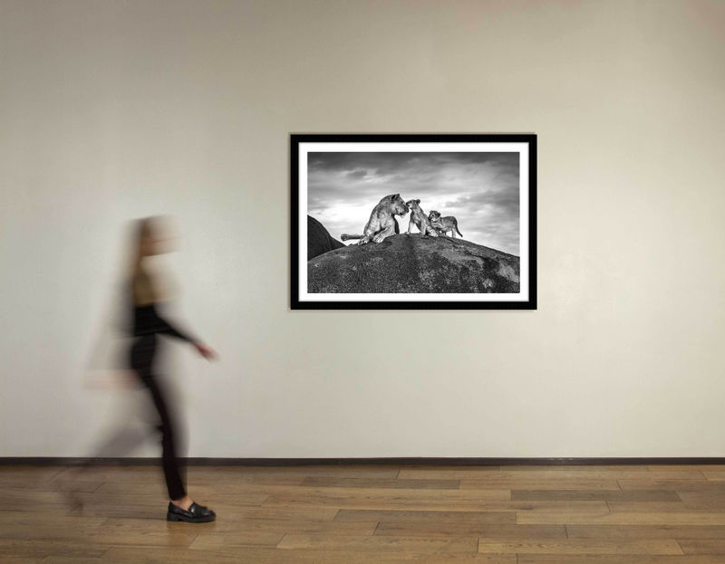 36 x 48 in., edition of 15